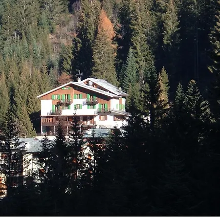 Pineta Hotel 3*