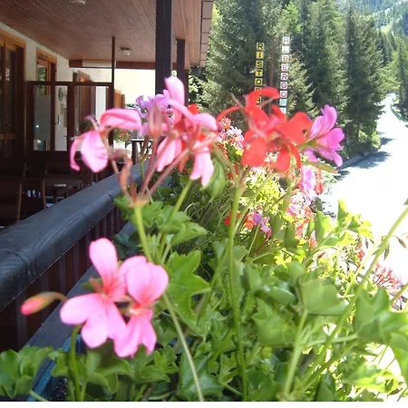 Pineta Hotel