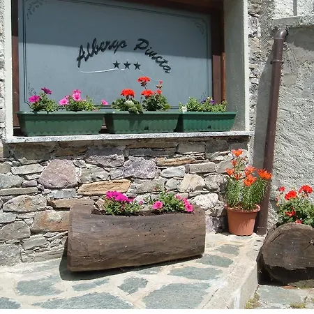 Pineta 3* Gerola Alta
