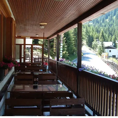 Pineta 3* Gerola Alta