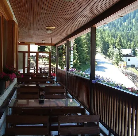 Pineta 3* Gerola Alta
